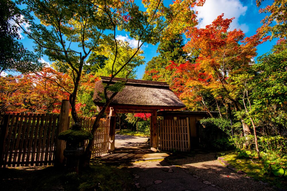 別府VS湯布院!泊まるならどっち?予算・雰囲気・移動距離について解説
